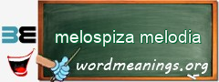 WordMeaning blackboard for melospiza melodia